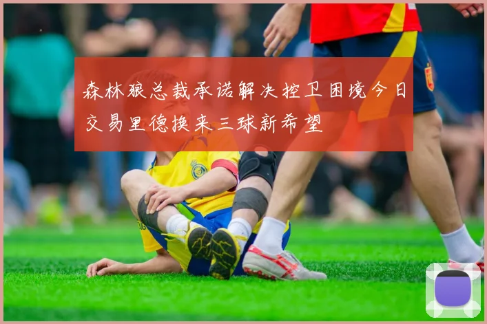 森林狼总裁承诺解决控卫困境今日交易里德换来三球新希望